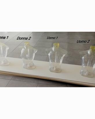 mezzo busto donna manichino 