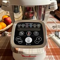 Moulinex companion