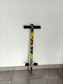 Pogo stick