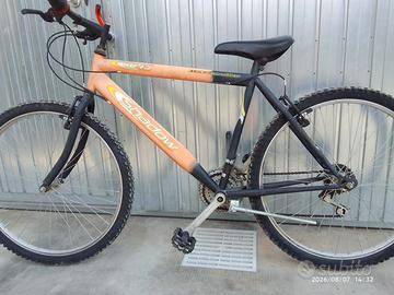 bicicletta ragazzo 