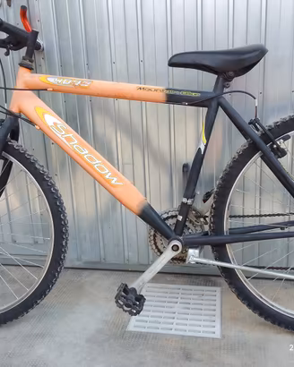bicicletta ragazzo 