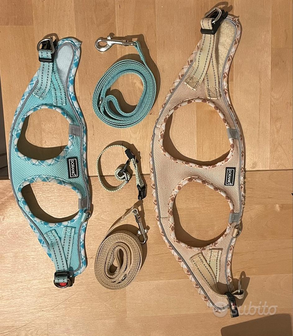 Kit per cucciolo