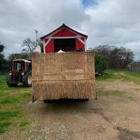 Carro carnevale