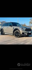 Mini countryman anno 2017