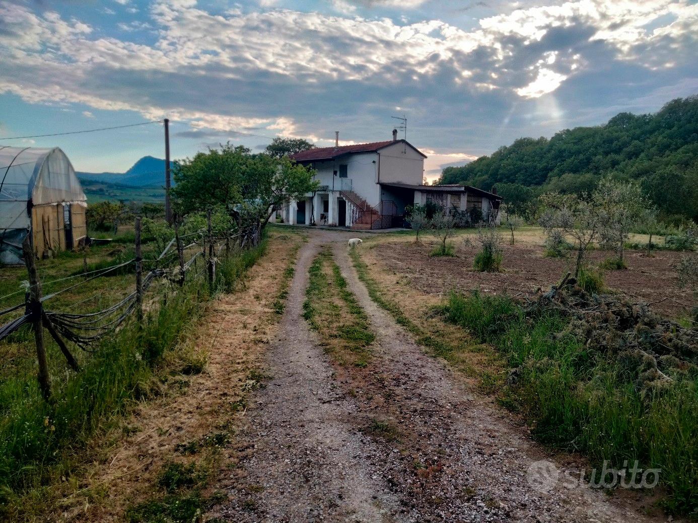 Casa e Terreno - Vista 2