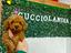 Immagine 1