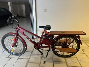 E bike cargo