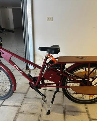 E bike cargo