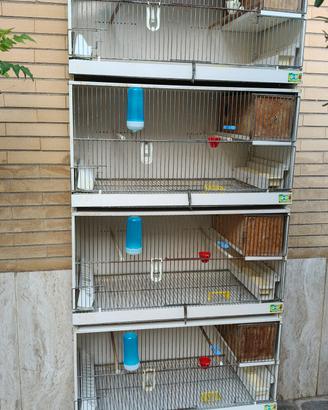 Batteria di Gabbie da cova