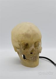 lampada teschio