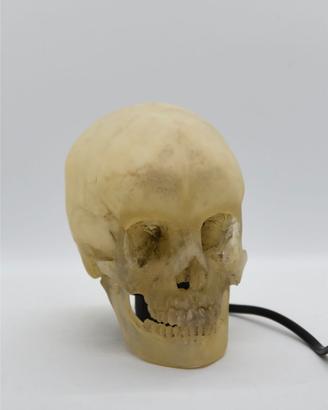 lampada teschio