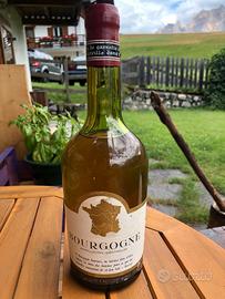 Bottiglia di bourgogne
