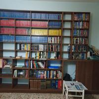 varie raccolte di  film in vhs 