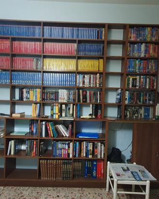 varie raccolte di  film in vhs 