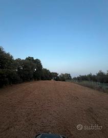 Terreno agricolo