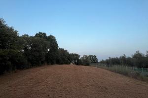 Terreno agricolo