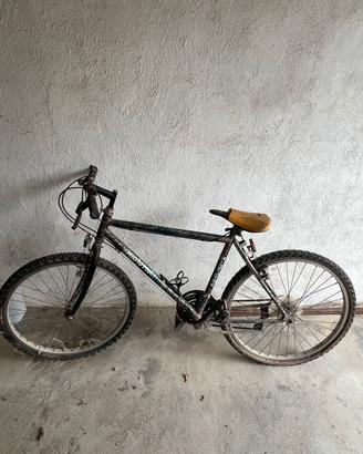 Mountain bike