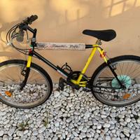 Mountain bike cerchio 24”
