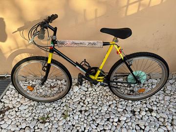 Mountain bike cerchio 24”