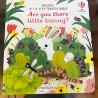 Libro Usborne Are You there little bunny?