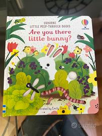 Libro Usborne Are You there little bunny?