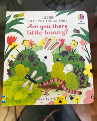 Libro Usborne Are You there little bunny?