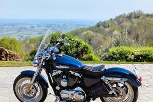 Sportster XL 1200 C del  2011