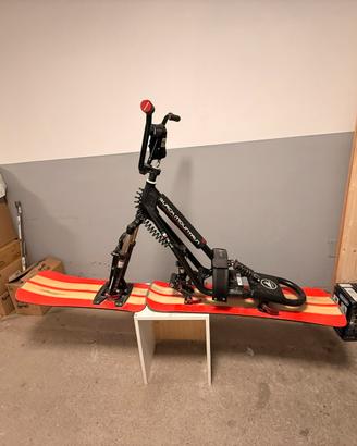 Snowscoot