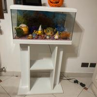 Acquario