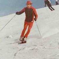 Lavoro di autista privato