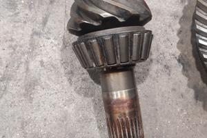 coppia conica differenziale Iveco daily