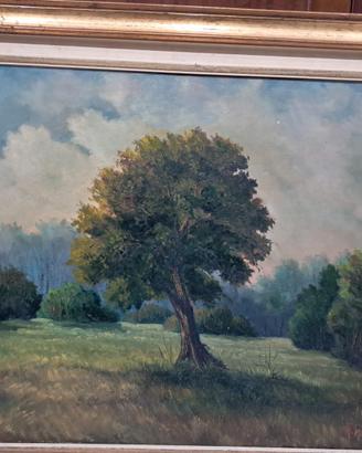 La grande quercia