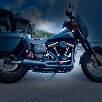 Harley-Davidson Dyna 103