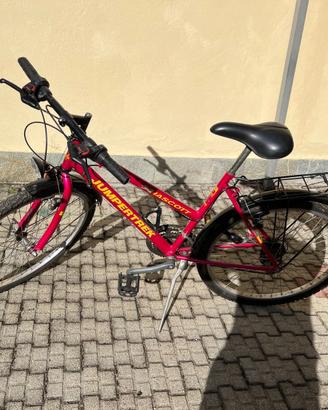 Bicicletta MTB JumperTrek