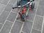 Immagine 1