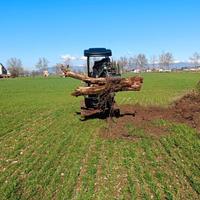 MINIESCAVATORE 15Q MOTORE KUBOTA