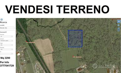 TERRENO BOSCO CEDUO 3290 Mq
