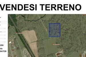 TERRENO BOSCO CEDUO 3290 Mq