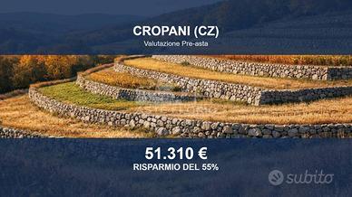 Immobile in asta di 33540 m² a Cropani