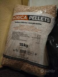 Pellet norica