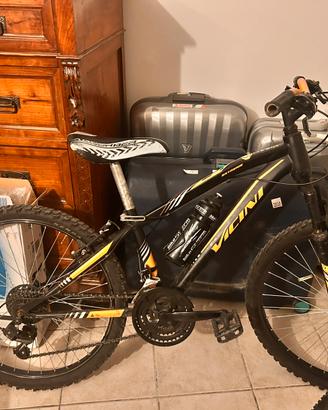 MTB VICINI 24