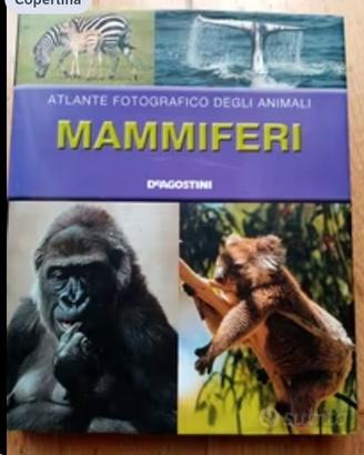 Libro sui mammiferi 