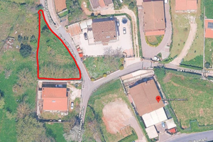 Terreno agricolo Rocca Priora - Castelli Romani