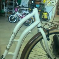 Bicicletta vicino donna