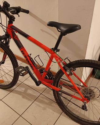 Due biciclette mtb