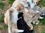 Immagine 5