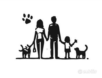 Assistente familiare autista aiutante ITALIANO