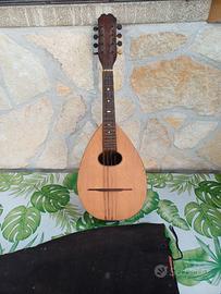 Mandolino del 900