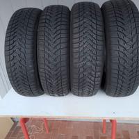 Gomme da neve