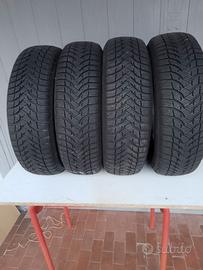Gomme da neve